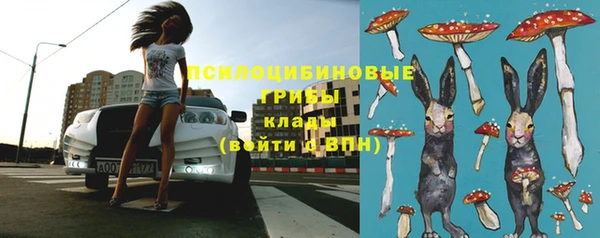 ПСИЛОЦИБИНОВЫЕ ГРИБЫ Арсеньев