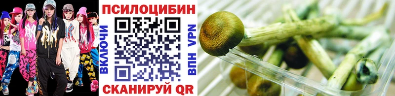 площадка наркотические препараты  как найти закладки  Трёхгорный  Псилоцибиновые грибы MAGIC MUSHROOMS 